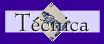 t�cnica